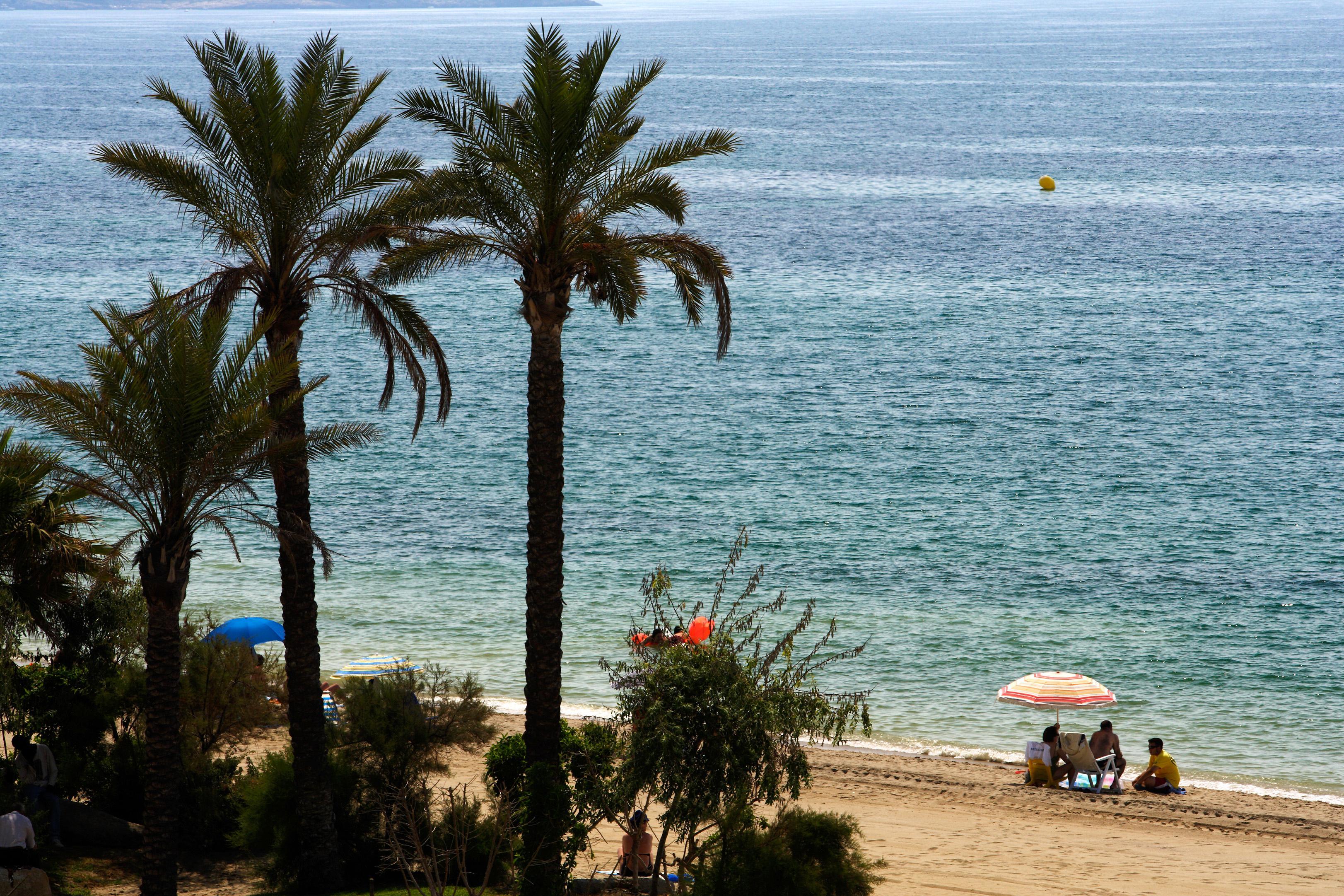 Pins Platja *