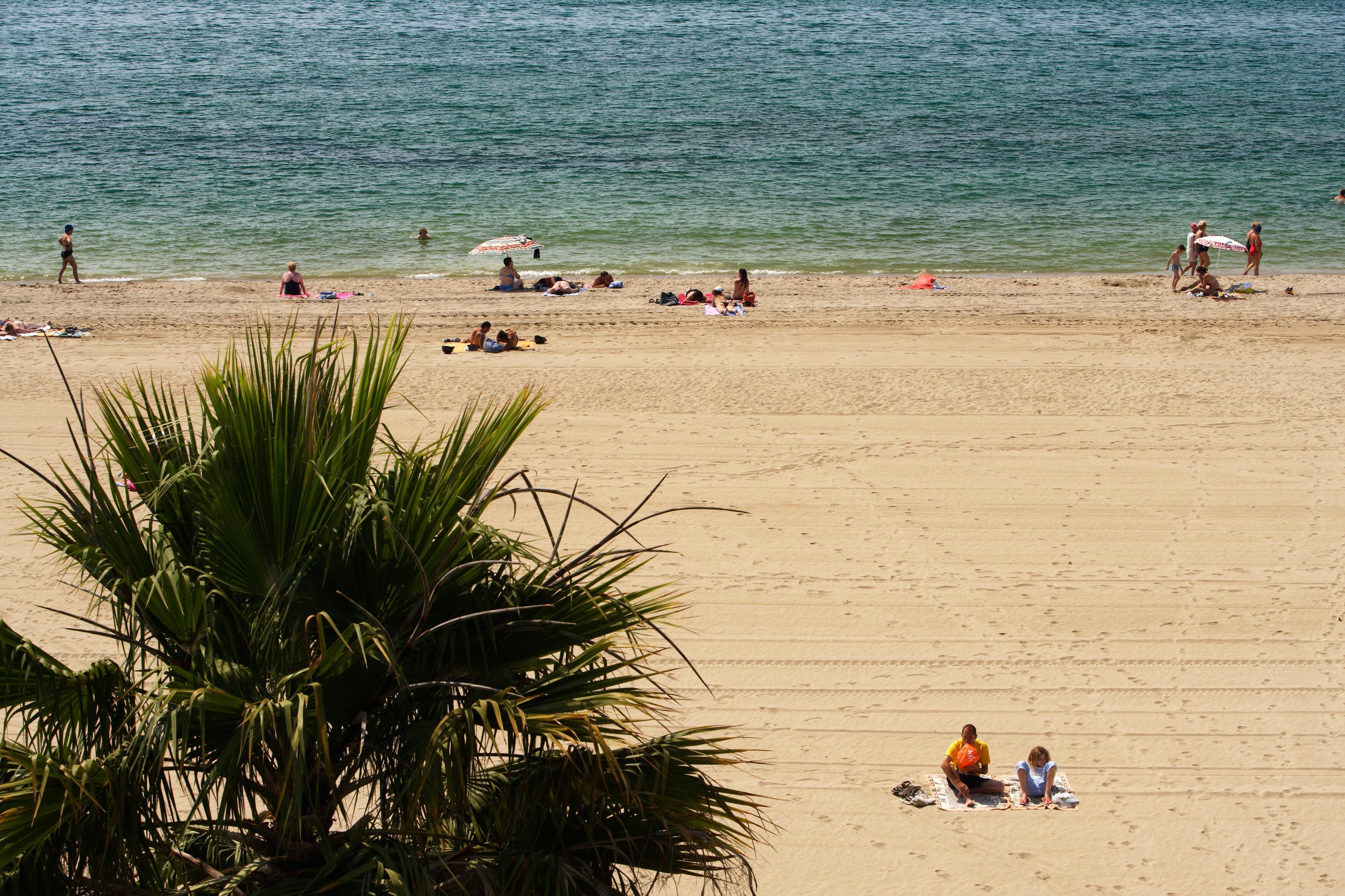 Pins Platja *